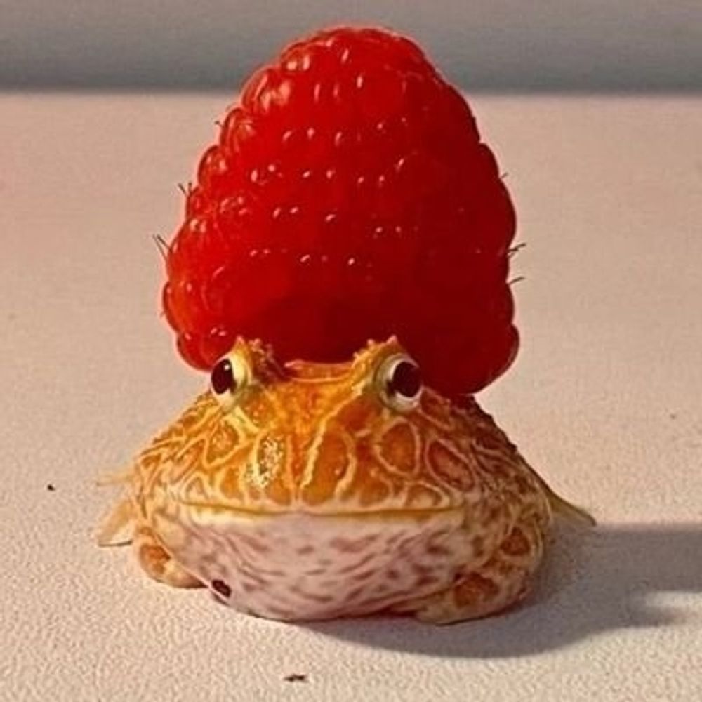 Жабенквакен