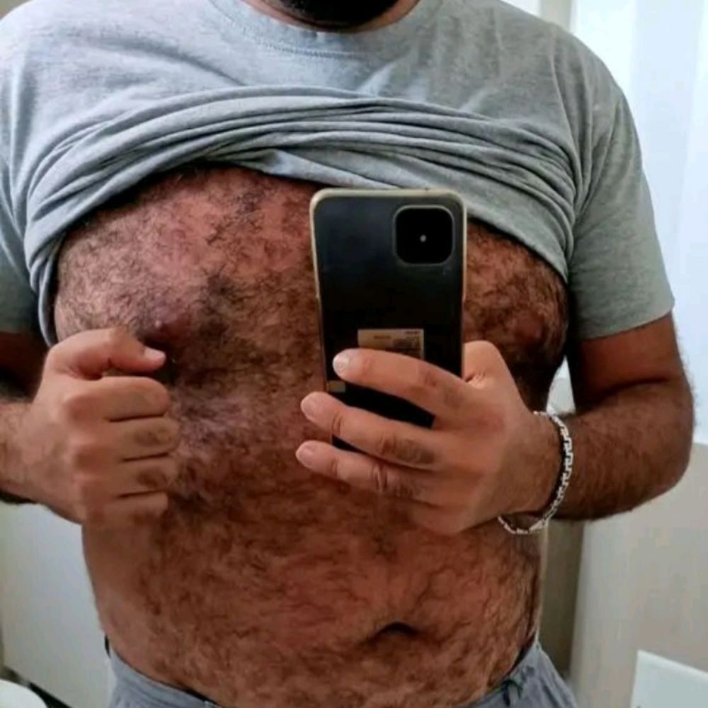 Med bear