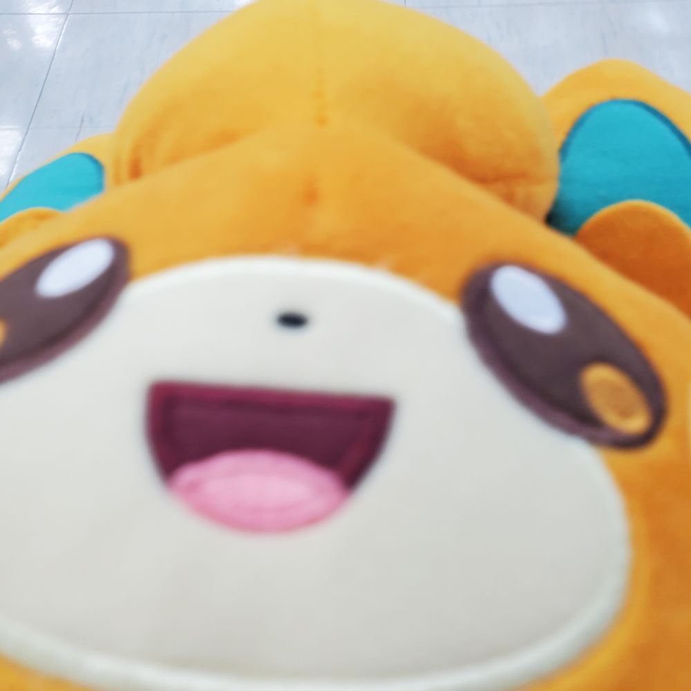 あづきょ