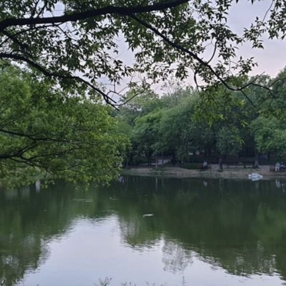 오로리 부부