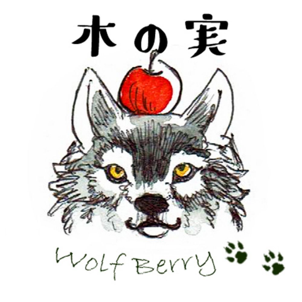 木の実 Wolf Berry
