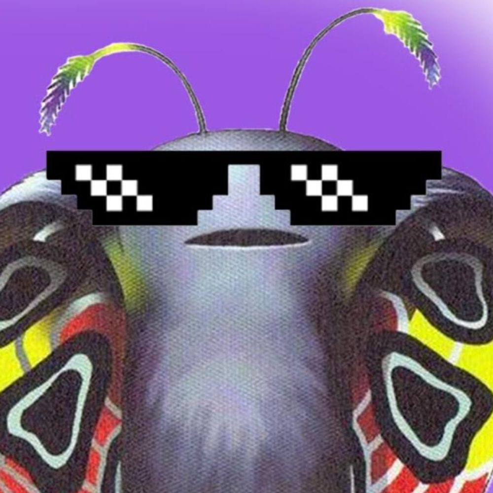 Trogdor2k5