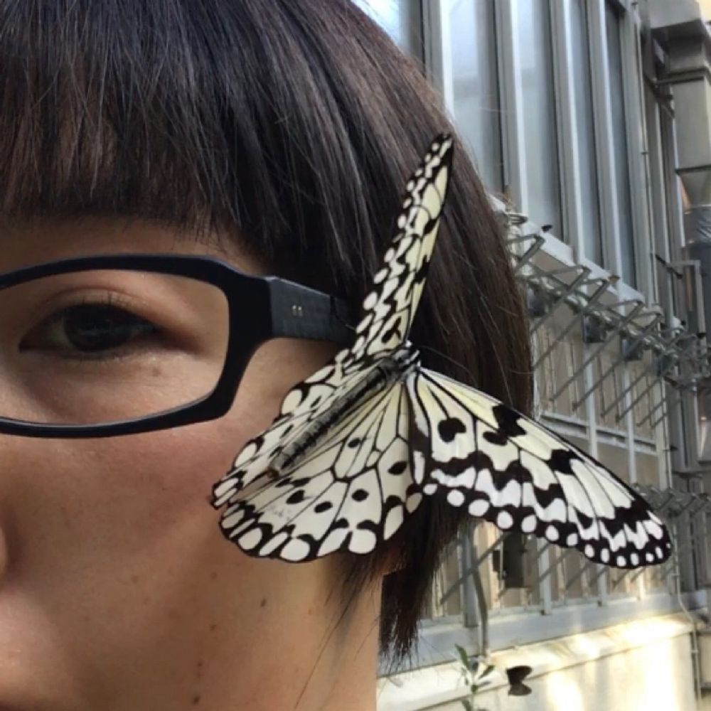 藤棚