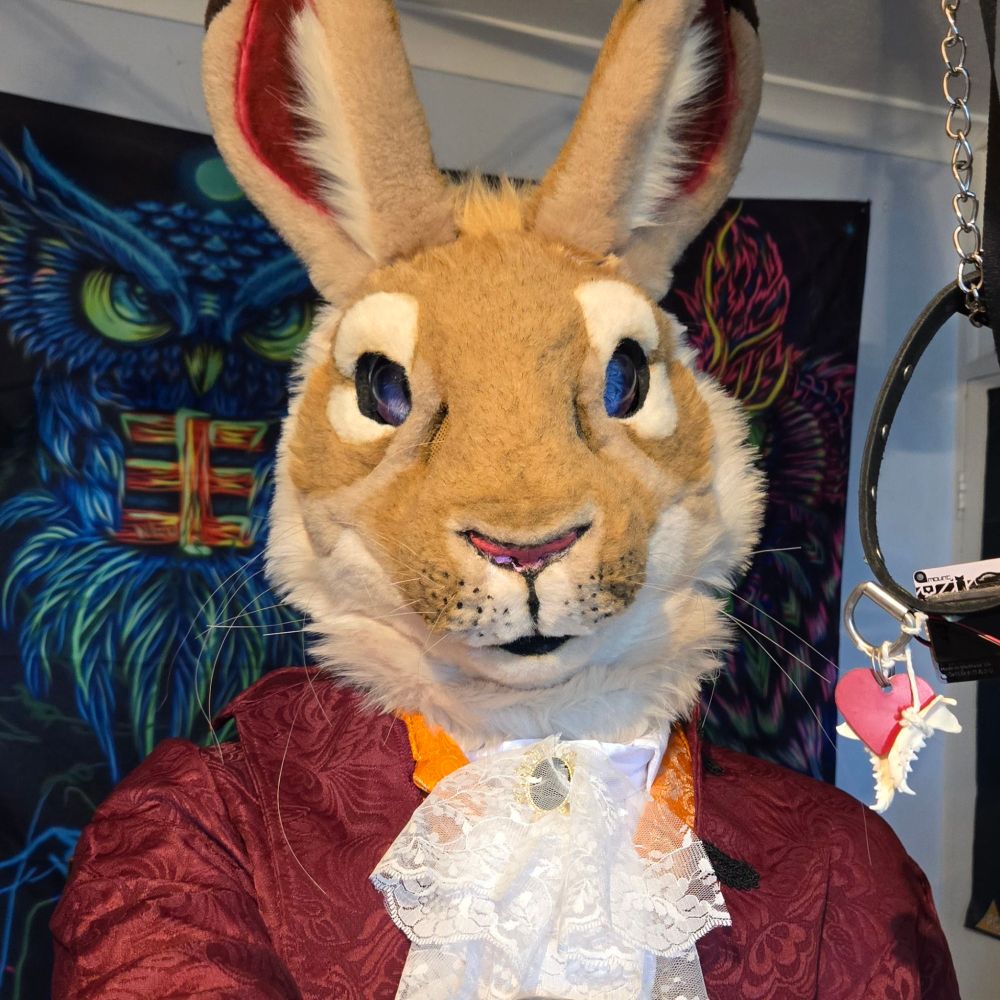 Hazel the Hare