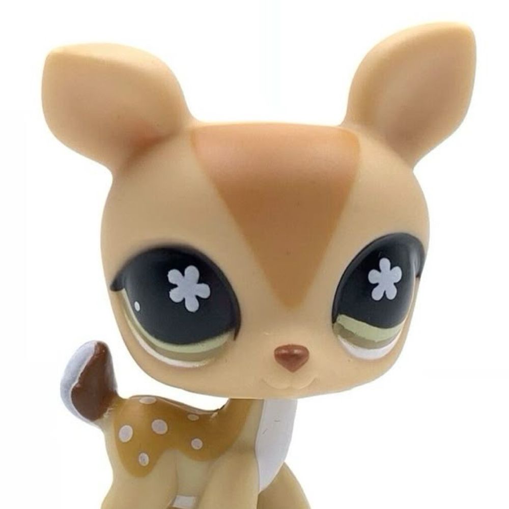 daily pics of lps