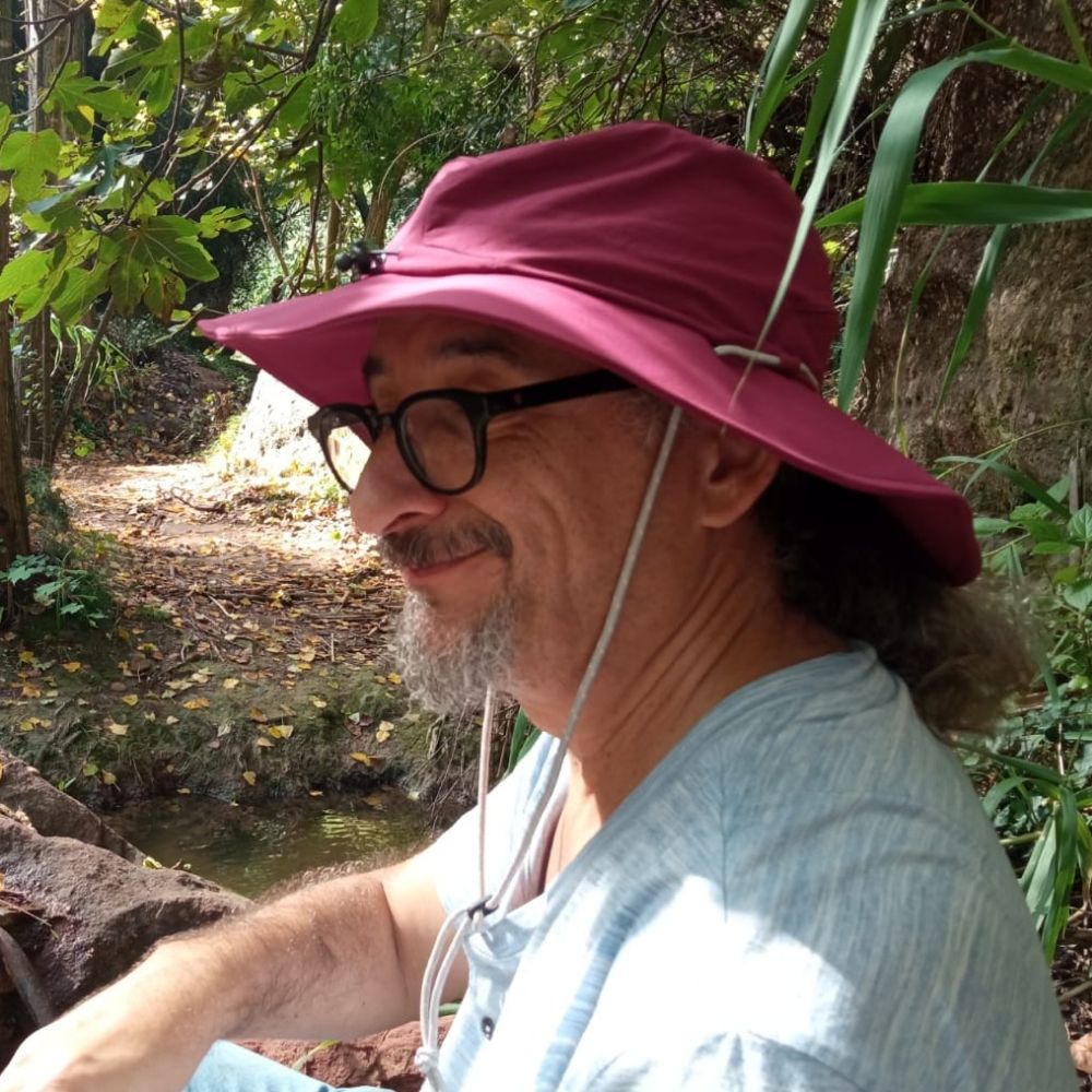 David Gómez Simó