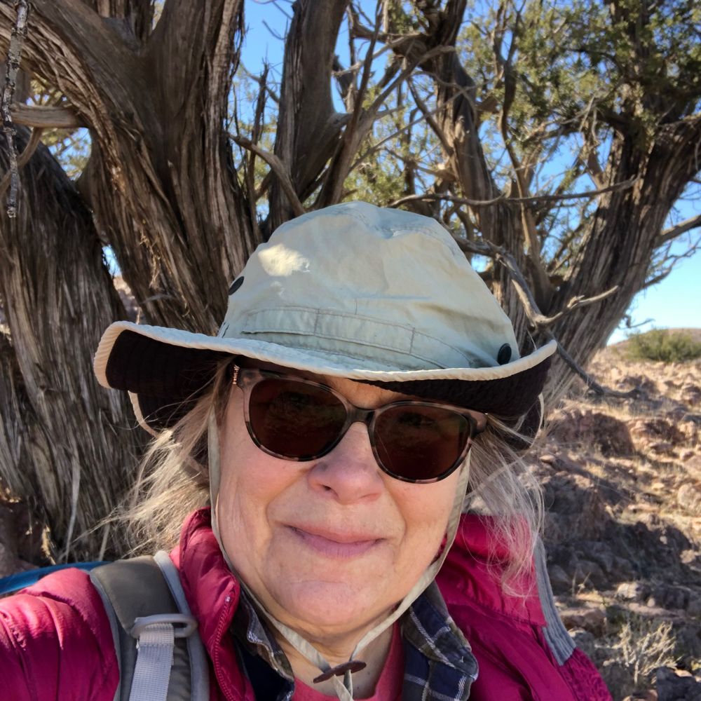 Jennifer K. Frey, PhD