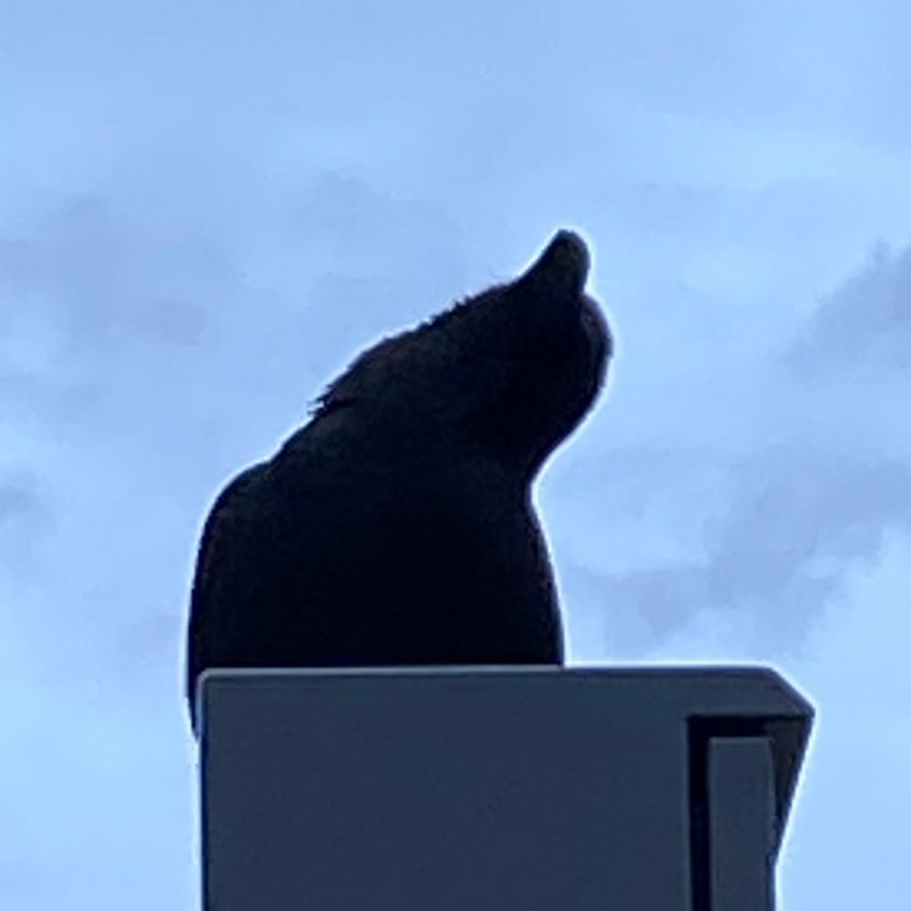 匿名S