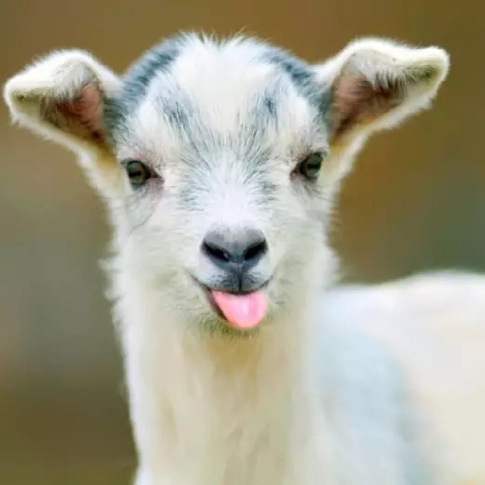 labgoats.bsky.social profile picture