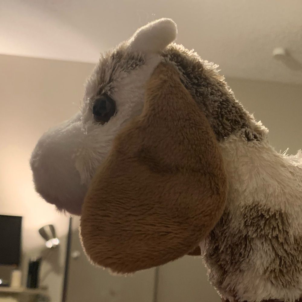 Goatsoftmode