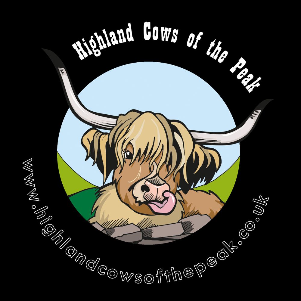 Highland Cows of the Peak Experiences