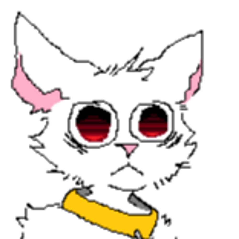 BadCat1