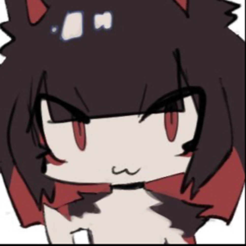赤猫