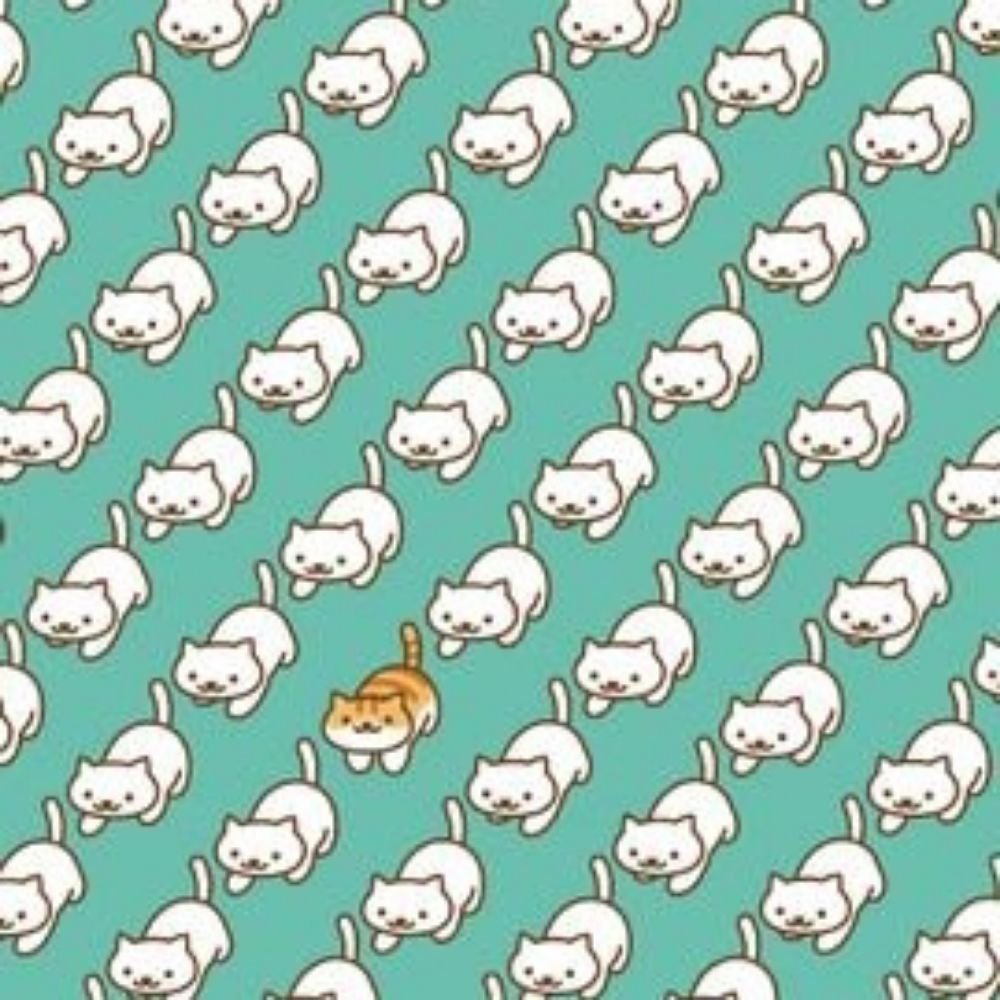 ゆず