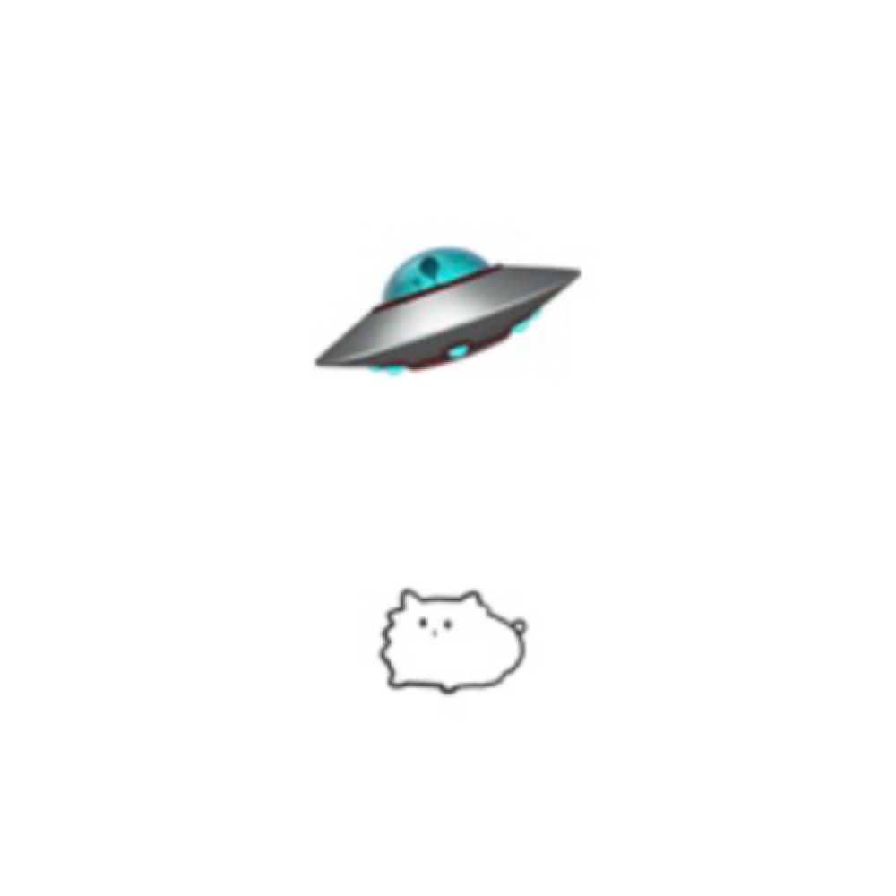 キメ