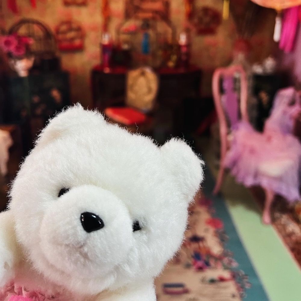 うちのクマは無罪である🐻‍❄️