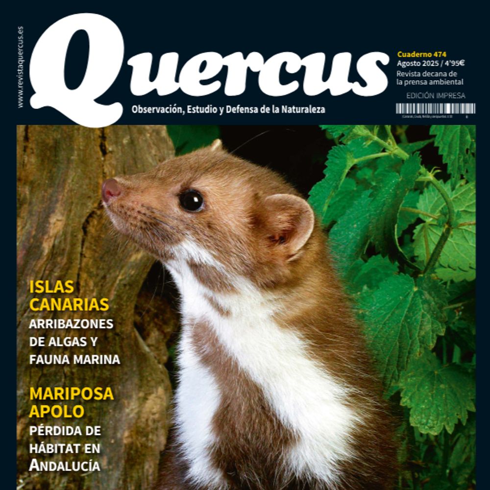 Revista Quercus