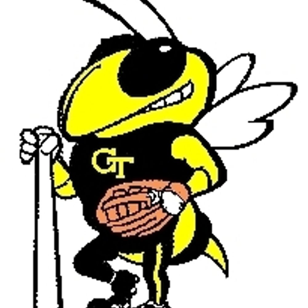 beesball.com🐝⚾