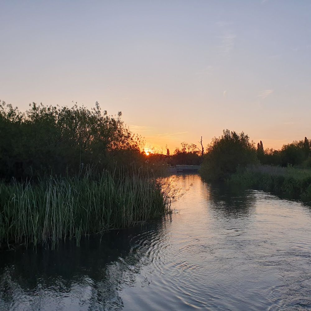 Sewage Free Thames