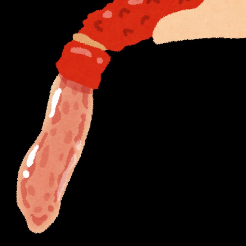 かにみそ