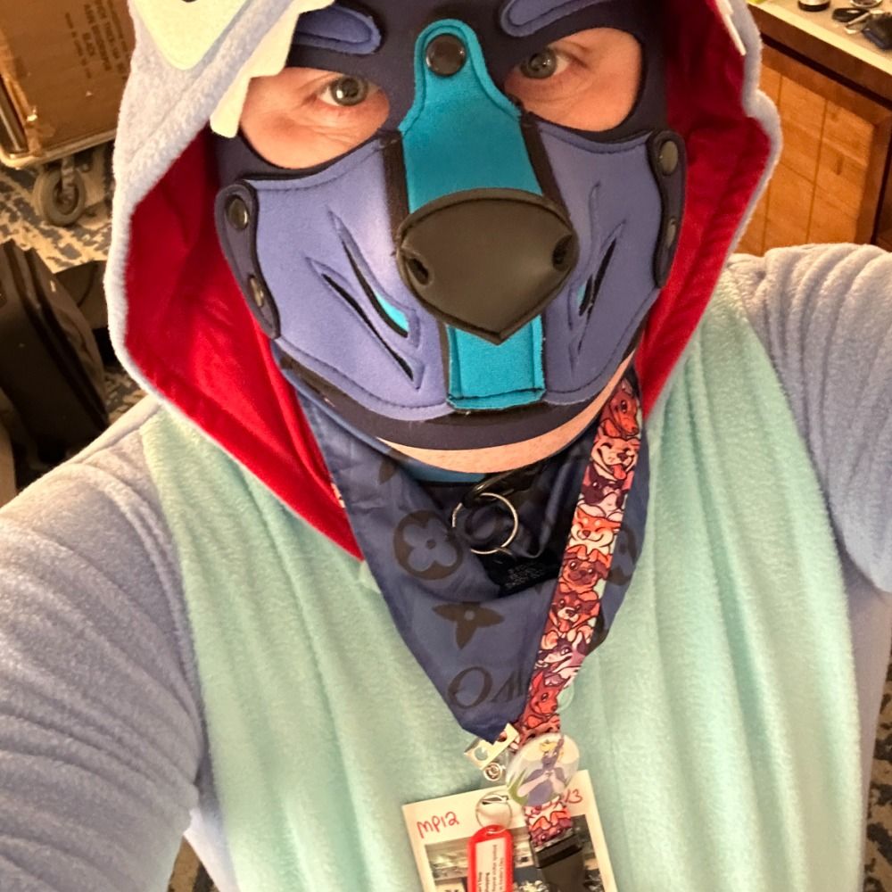 HeckinPupper/Pup Kubbz