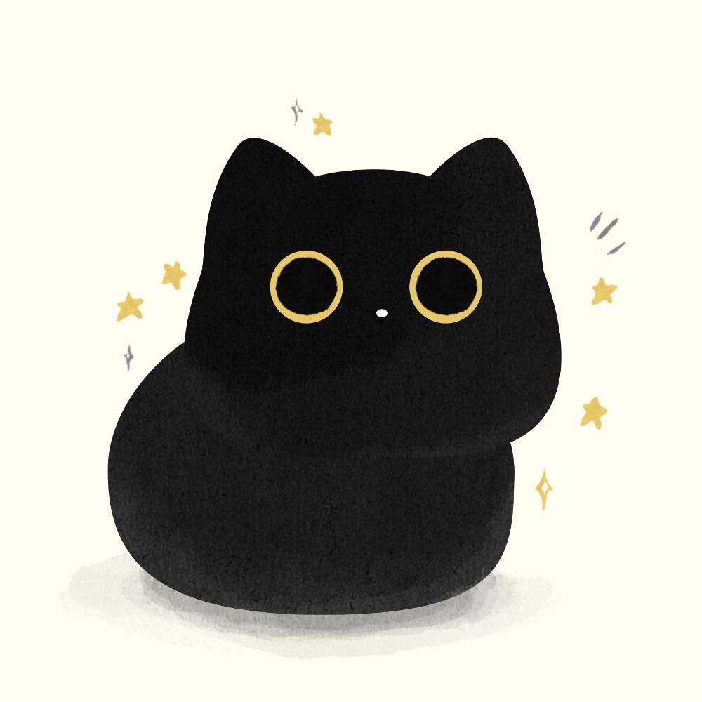 Steph 😺