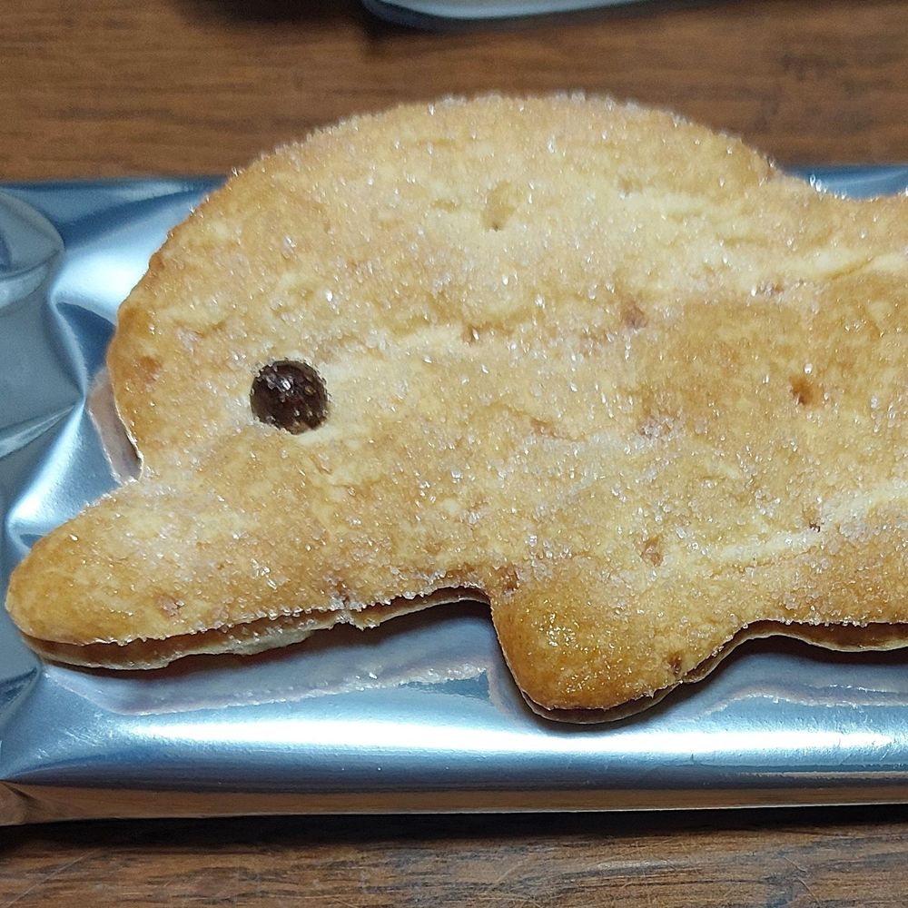 すぅは