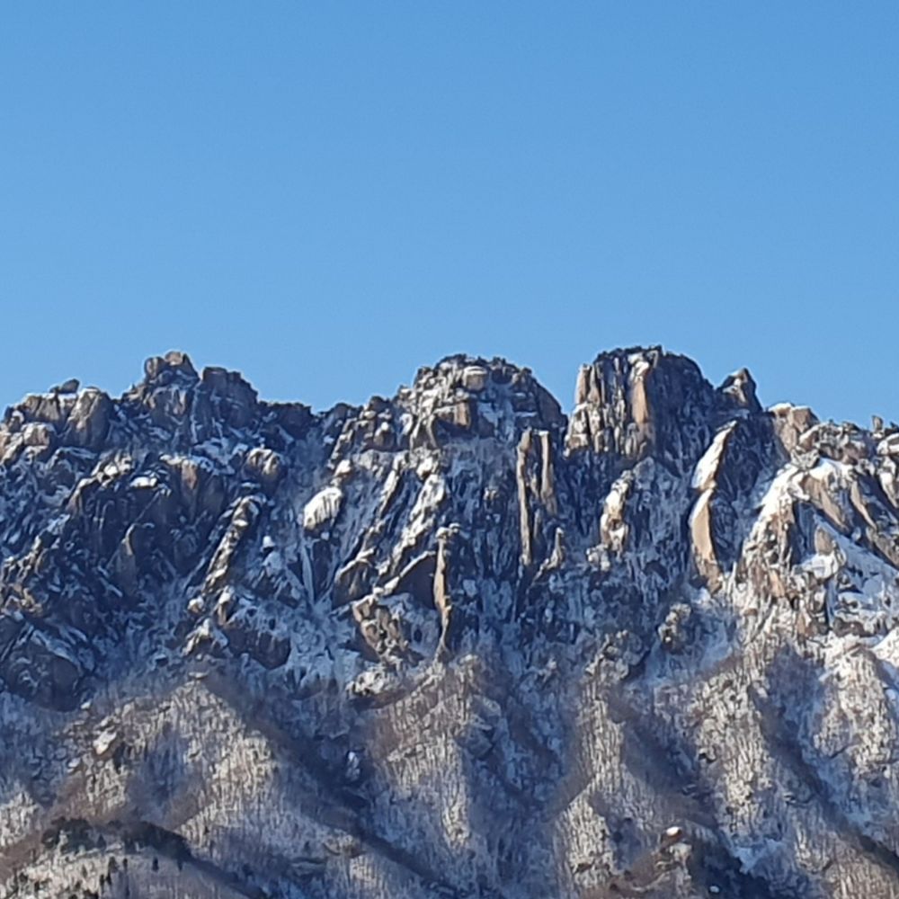 한겨울