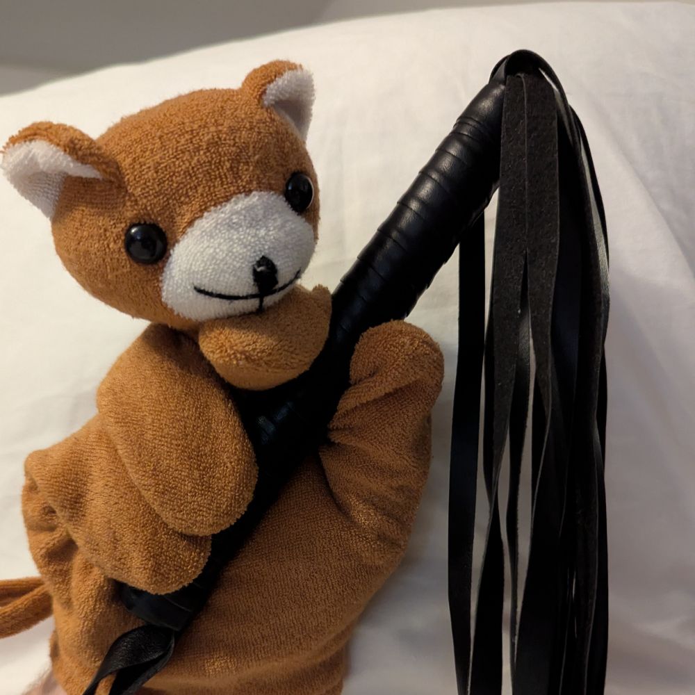 The Aftercare Bear