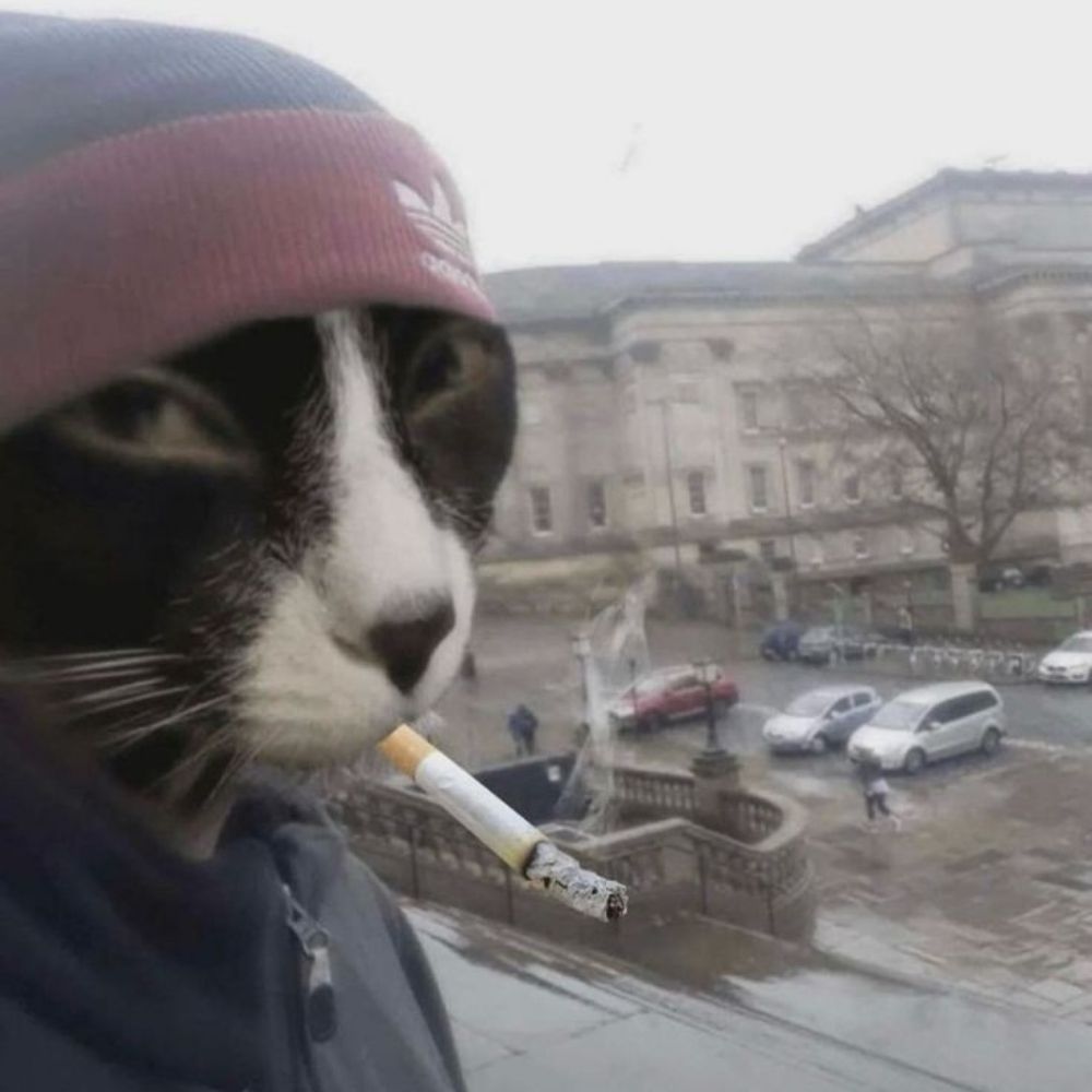 filipe