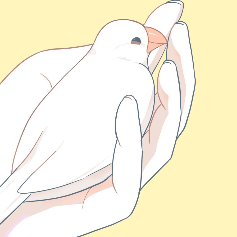十河🐥