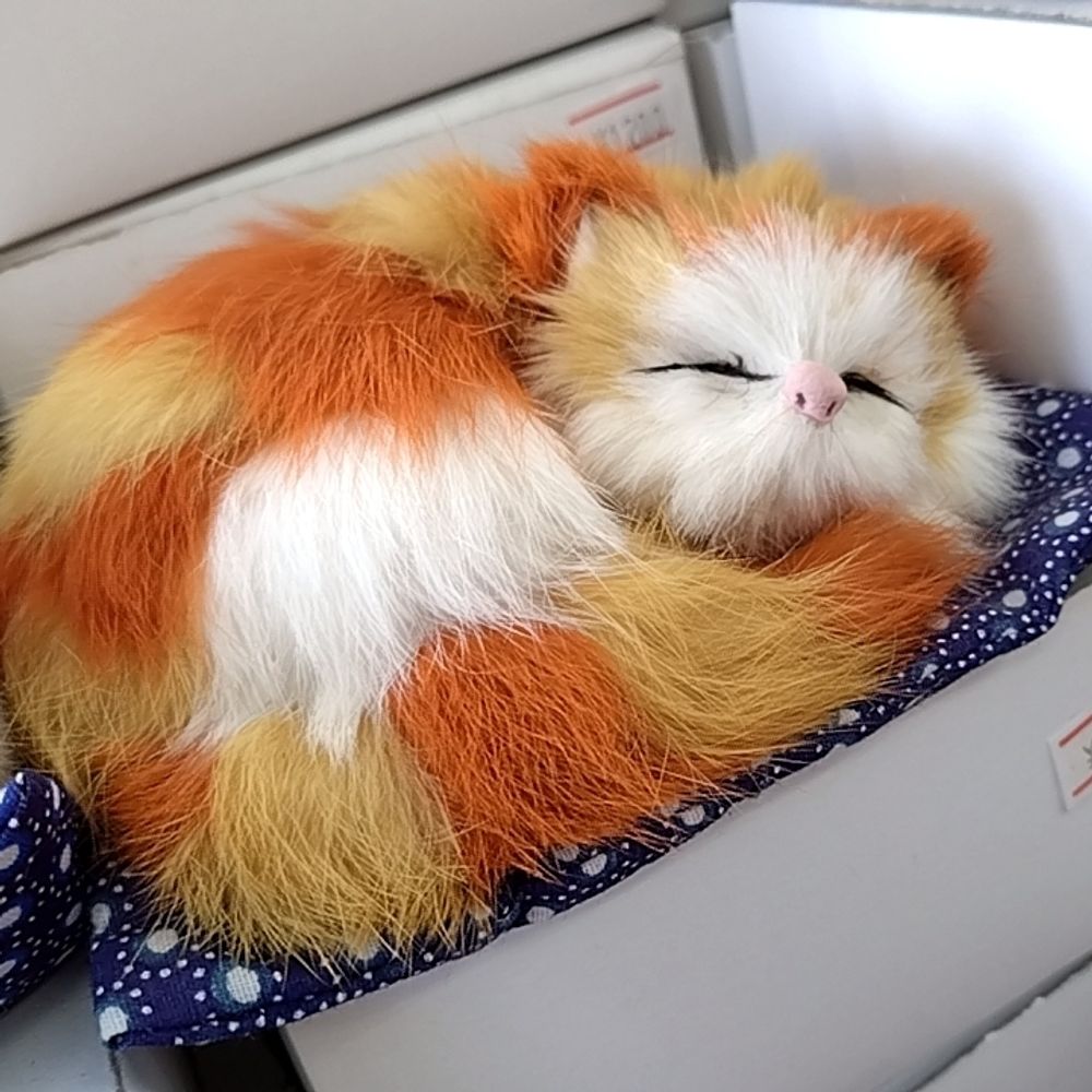 いし🍑🍚💨