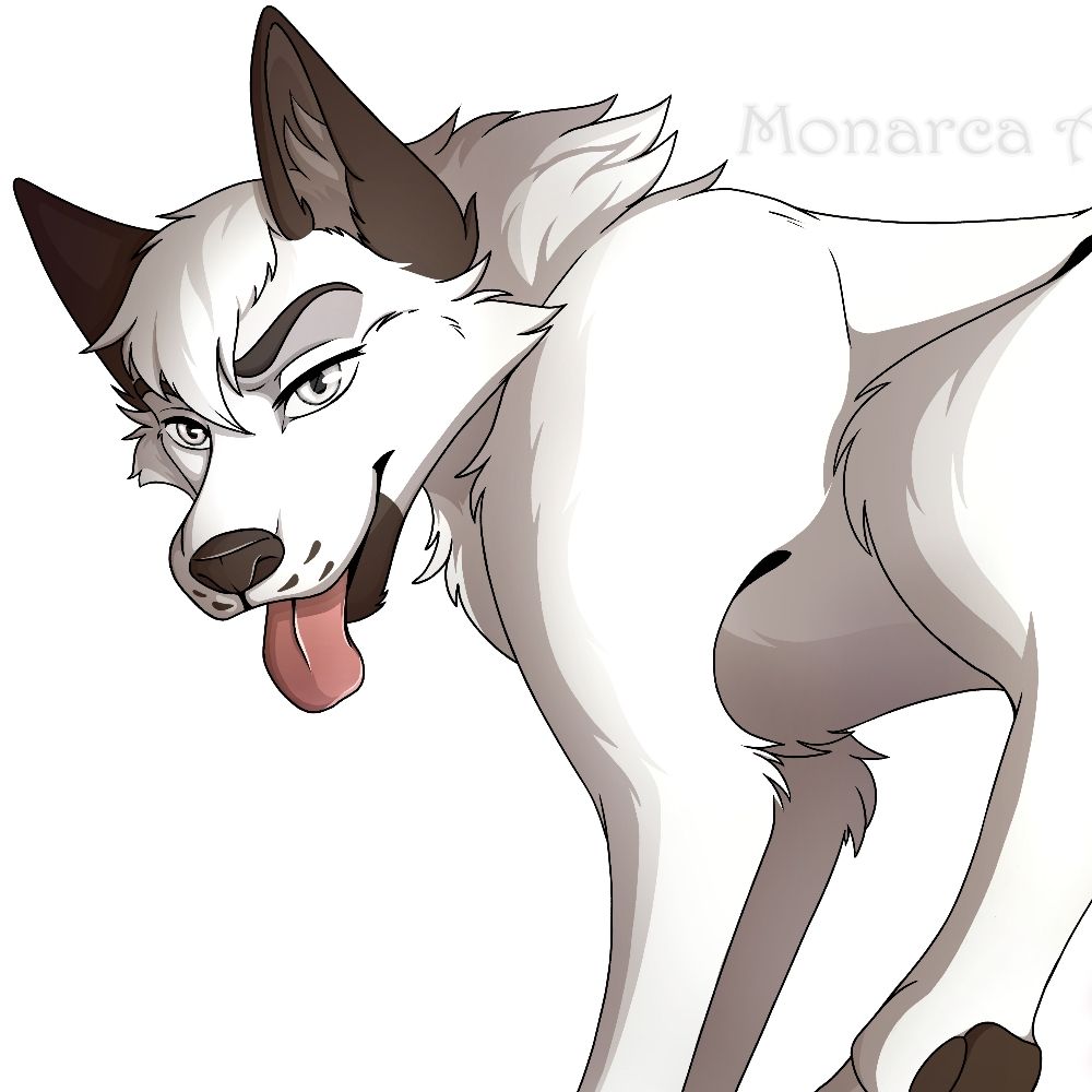 Zetawolf