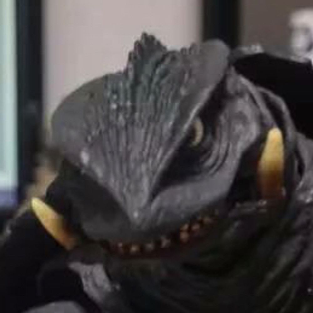 Gamera: Dystopian Fun