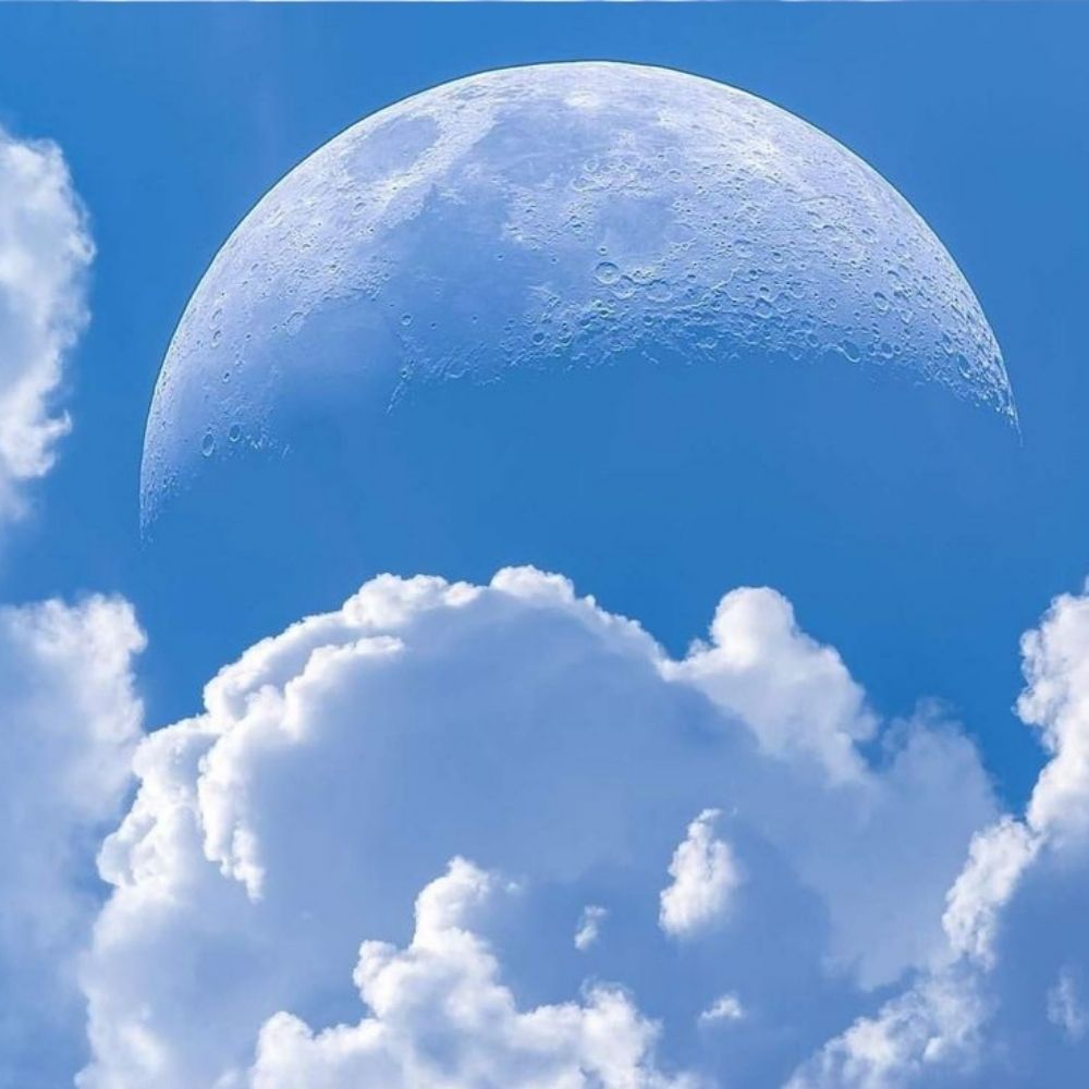 Little Moon ✨