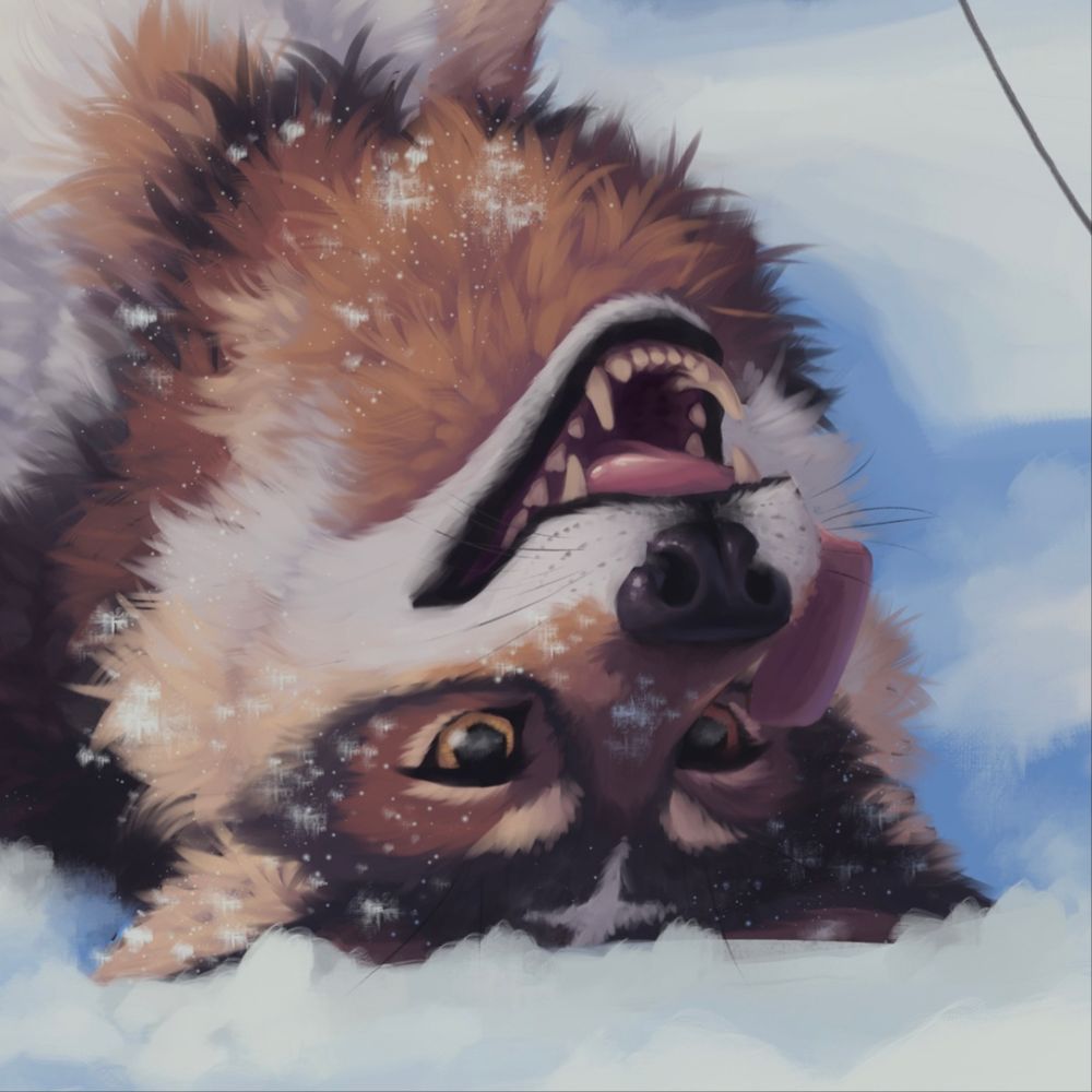 ✨🌈Wuffie wolf doggy🔮🌟