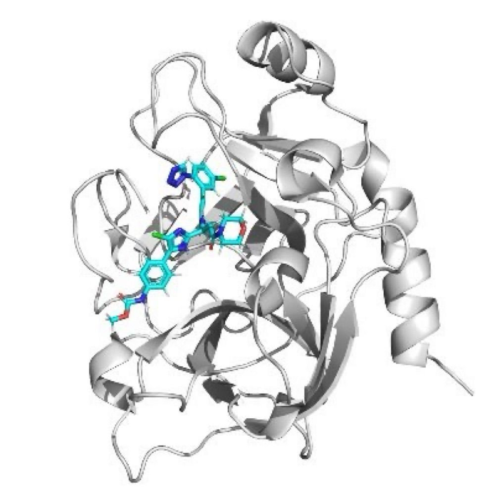 Enzyme Chemistry