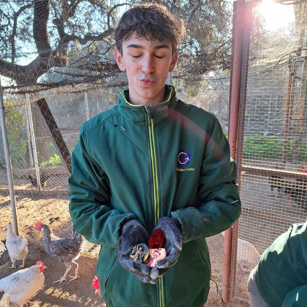 Pedro 🐑