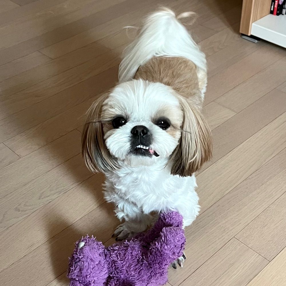 아밀