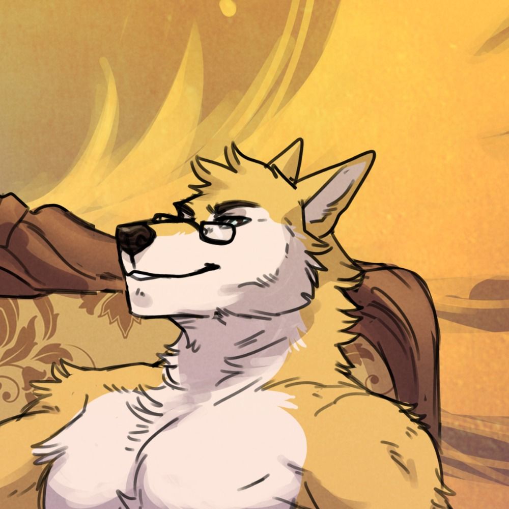 Server Dingo