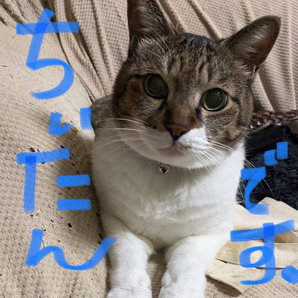 めぐちょす(ｶﾘｶﾘ)梅ばあちゃん