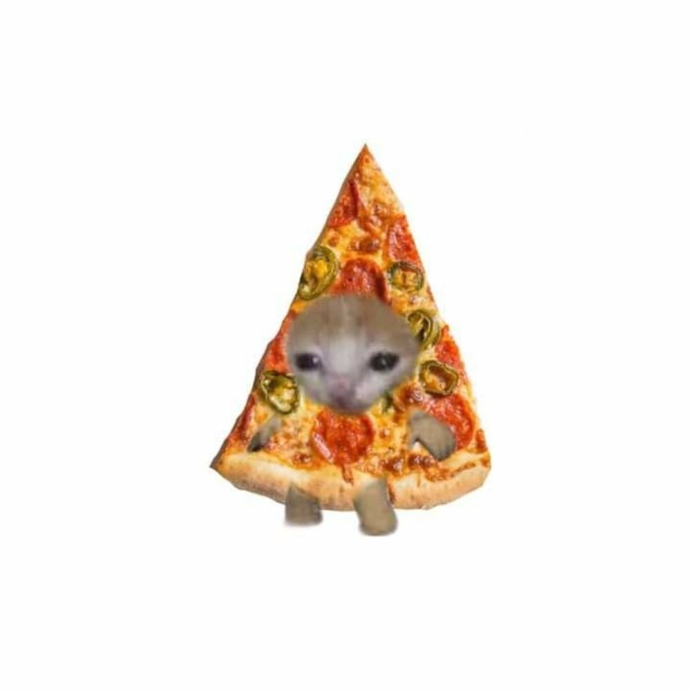 인생도🍕𝐏𝐢𝐳𝐳𝐚