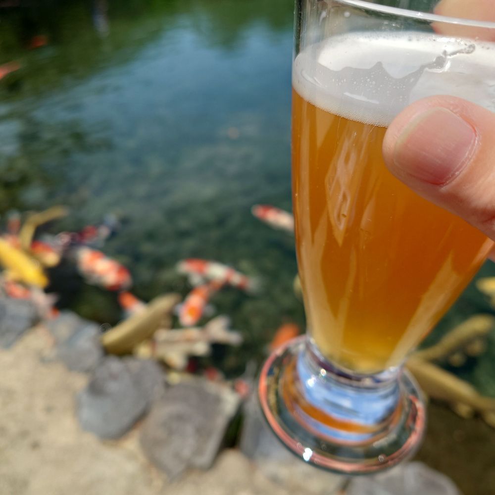 赤口