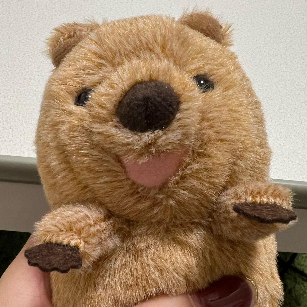ちゃけ