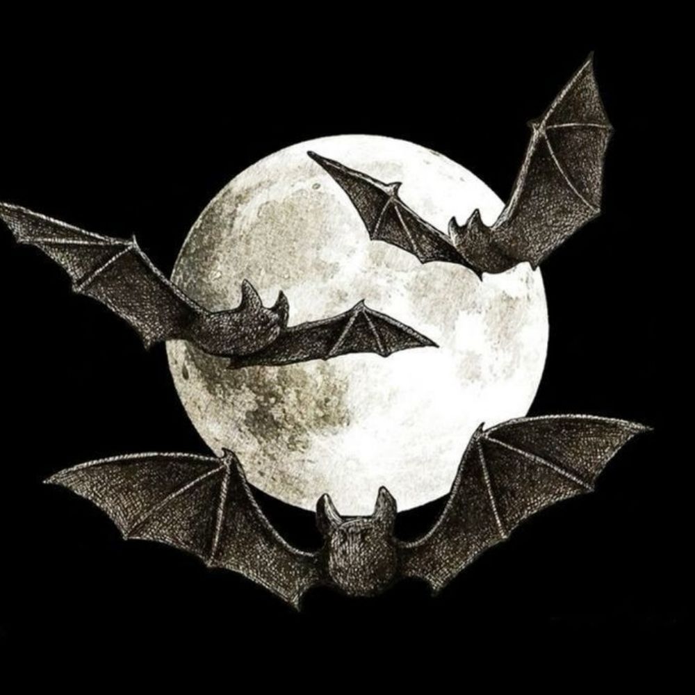 lucky 🦇