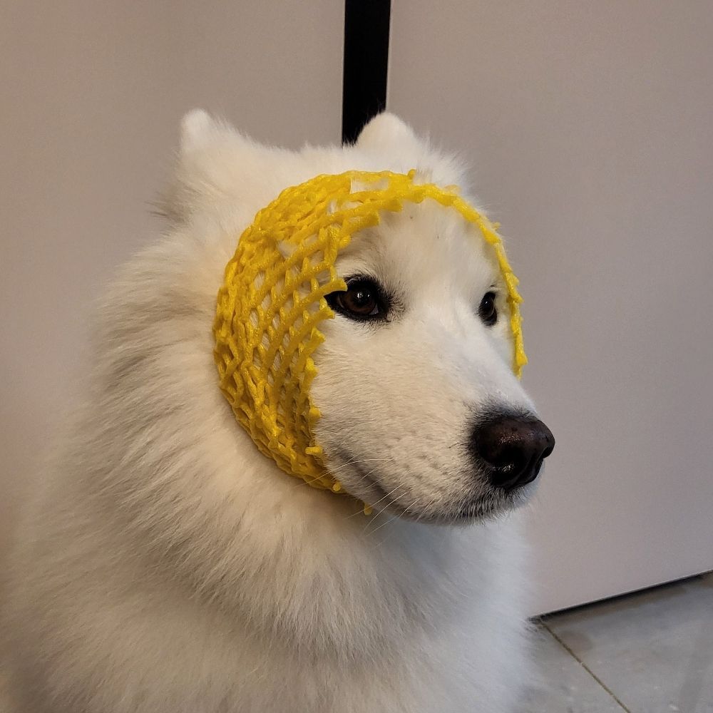 마일로