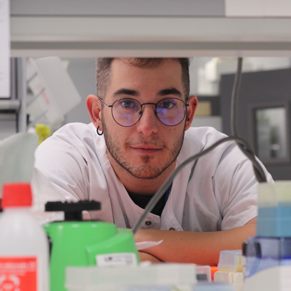 Viviendoeldoctorado 🧬🔬🏳️‍🌈