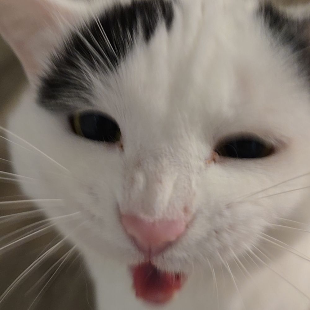 Pik