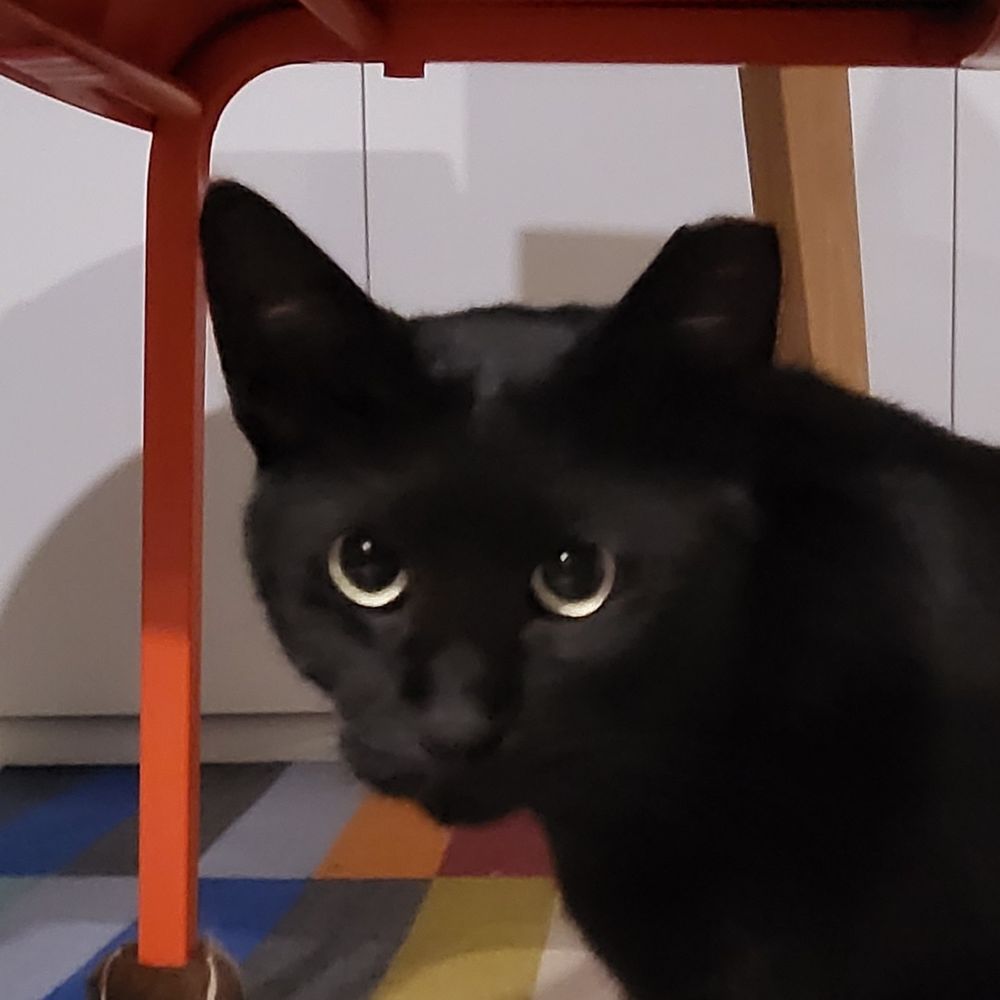 picky