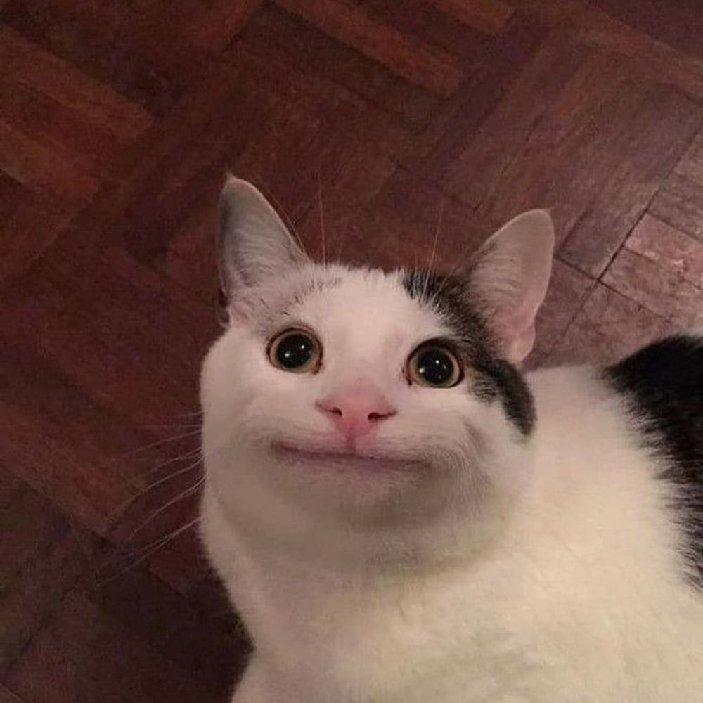 Ham 